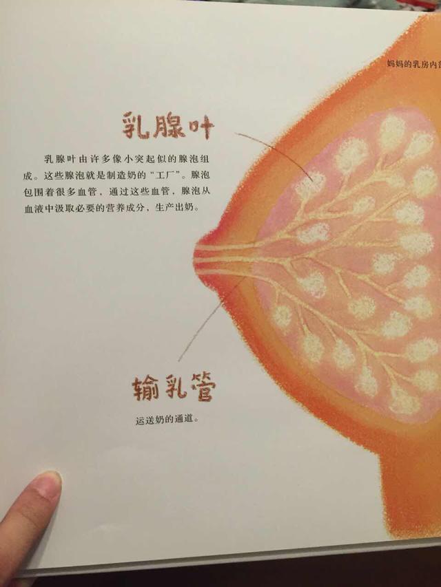 口腔卫生用品 第311页