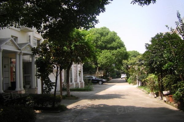 雅阁花园最新价格,雅阁花园，探寻最新价格的魅力之旅，雅阁花园最新价格揭秘，魅力之旅启程！
