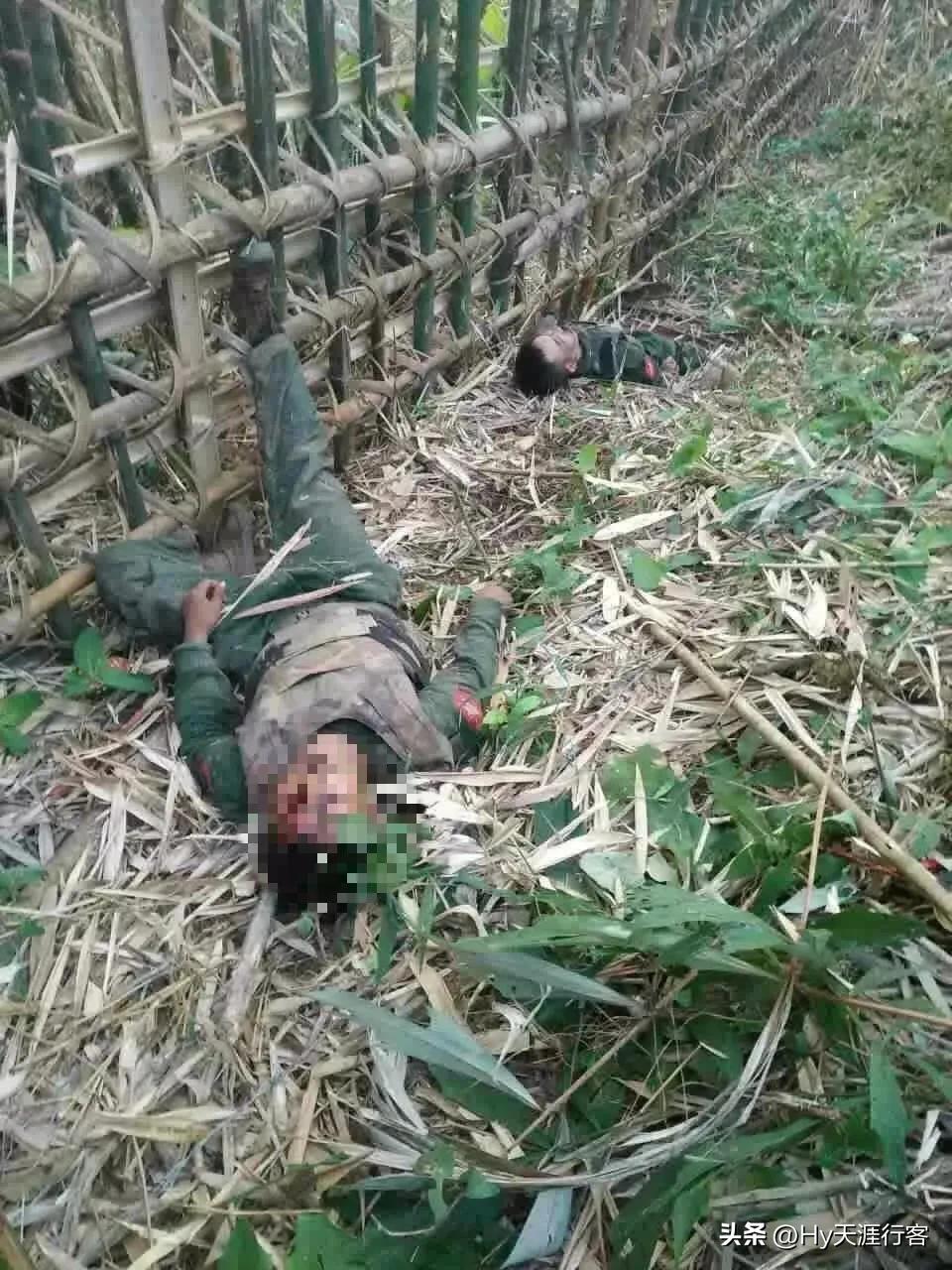 最新视频新闻,最新视频新闻,探索未知,见证时代变迁,最新视频新闻,探索未知,时代变迁的见证者