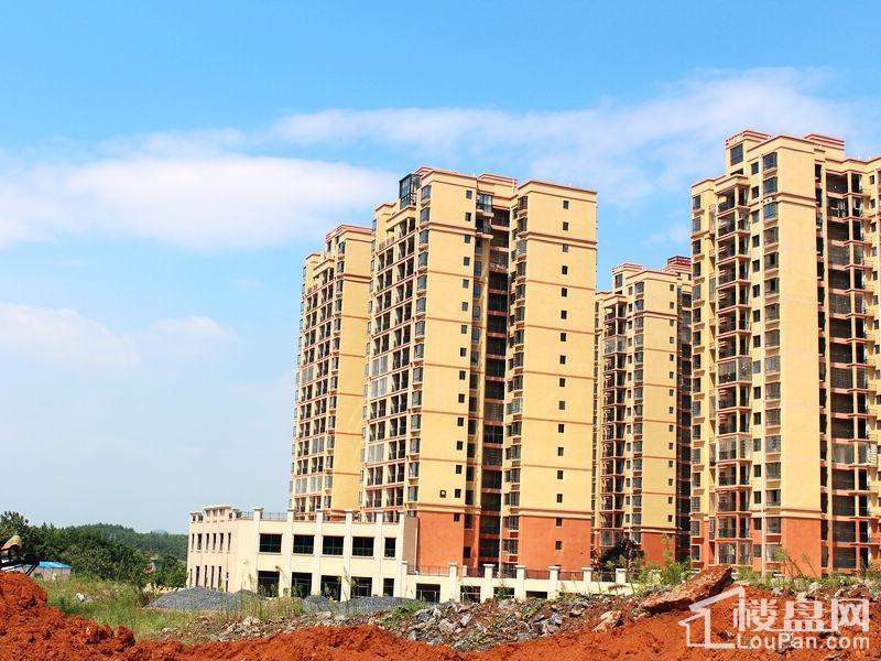 道县最新房价,道县最新房价动态,探寻未来居住的新趋势,道县最新房价动态及未来居住趋势探索