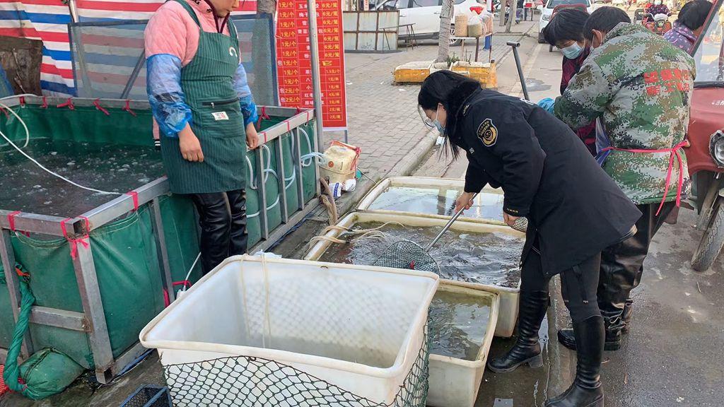 博民生物科技 第279页