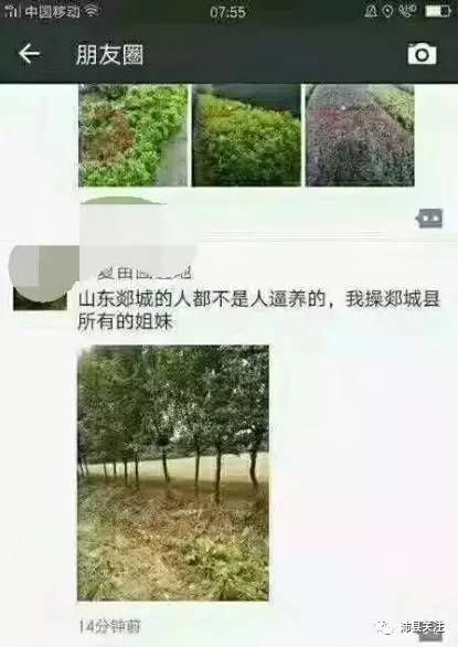 郯城邳州视频最新,郯城邳州视频最新,探寻两地的文化与风情,郯城邳州文化与风情探寻,最新视频展现两地魅力