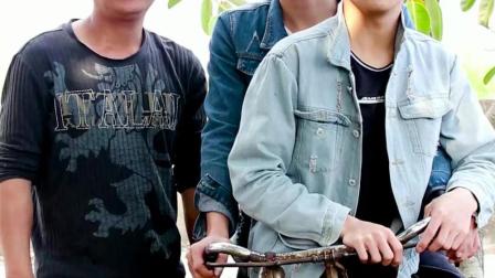 夏雨来最新小品,夏雨来最新小品,笑中带暖,深入人心,夏雨来最新小品,笑中带暖,深入人心,演绎深入人心的小品传奇