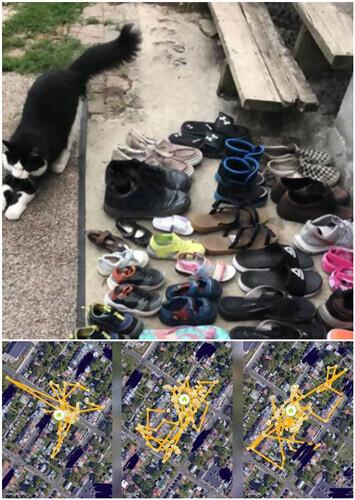 偷鞋吧最新,偷鞋吧最新,一场关于时尚与探索的奇妙旅程,时尚与探索的奇妙旅程,偷鞋吧最新动态速递