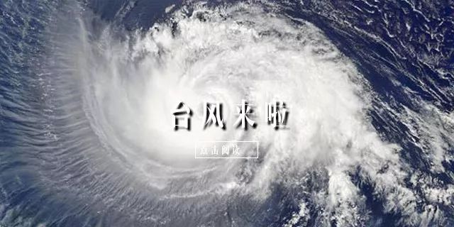 白鸽台风最新视频,白鸽台风最新视频,自然之力的震撼与人类的应对,白鸽台风最新视频,自然之力的震撼与人类的应对策略