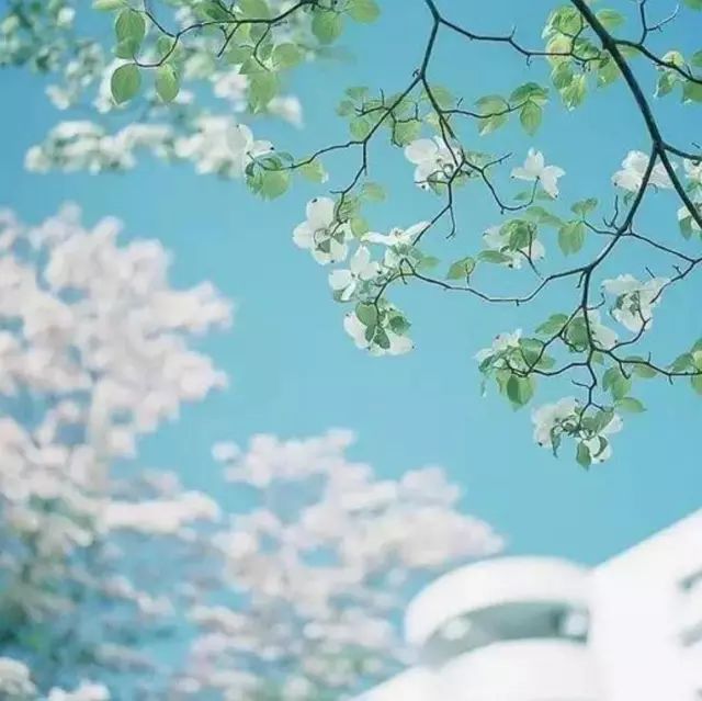 左岸春风最新一语断蓝,左岸春风最新一语断蓝,生活的美好瞬间与无限可能