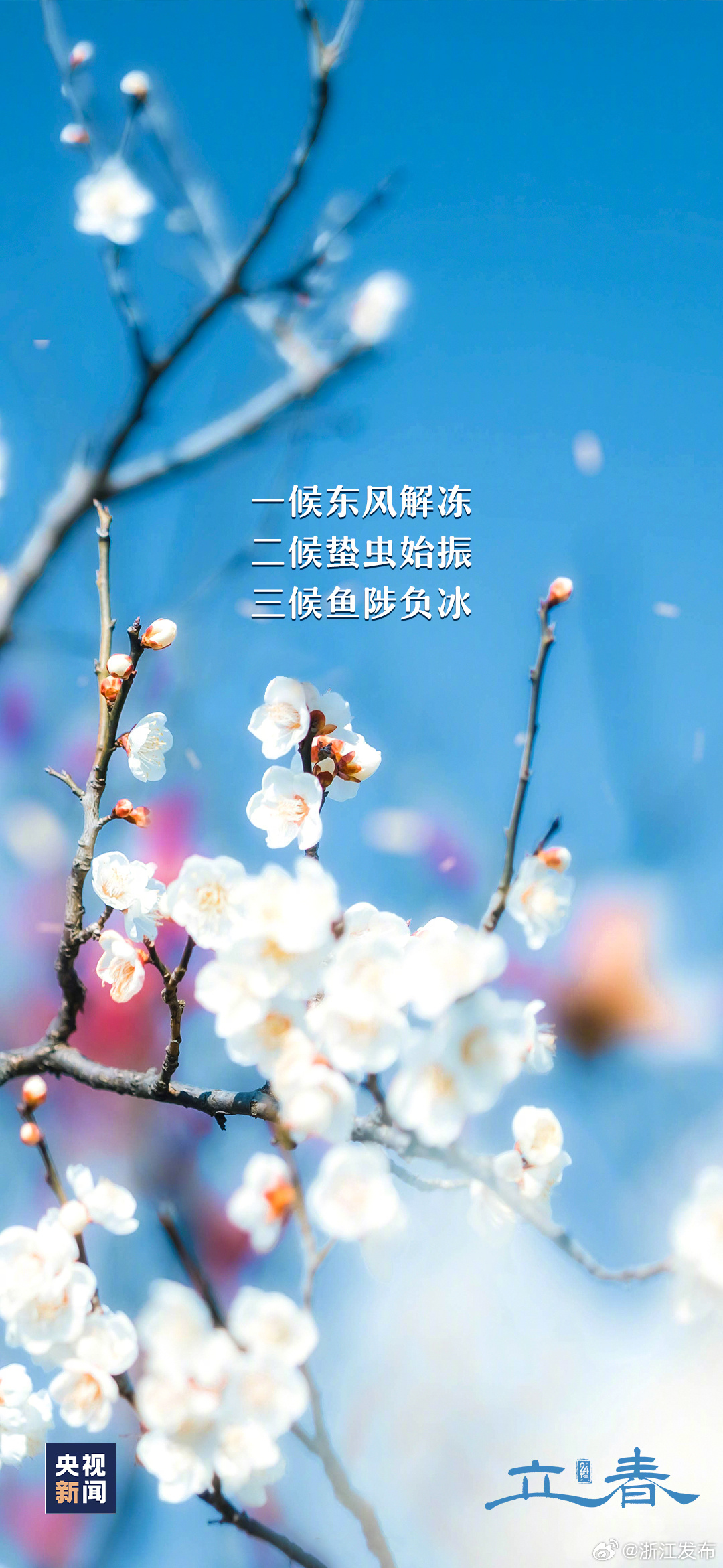 左岸春风最新一语断蓝,左岸春风最新一语断蓝,生活的美好瞬间与无限可能