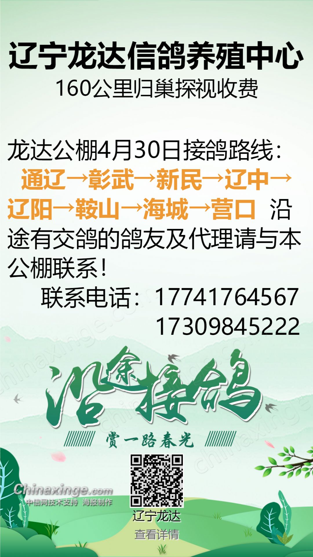 通辽信鸽协会最新公告,通辽信鸽协会最新公告,翱翔的信鸽,引领未来的希望,通辽信鸽协会最新公告,翱翔的信鸽,引领鸽友的希望之路
