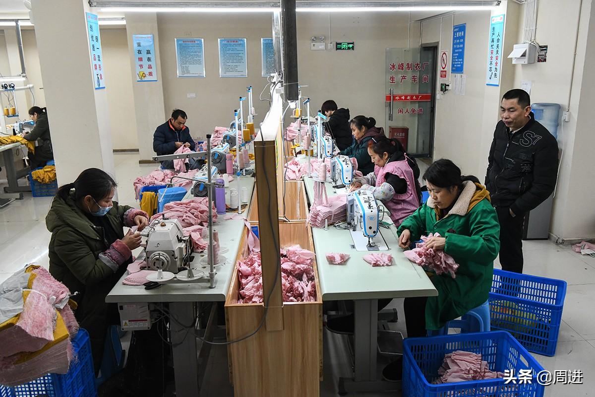 博民生物科技 第242页