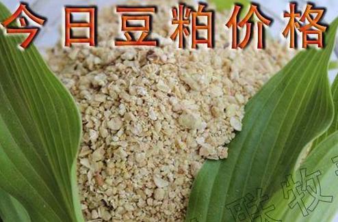 铝价格最新行情,铝价格最新行情，市场走势分析与预测，铝价格最新行情，市场走势分析与预测报告