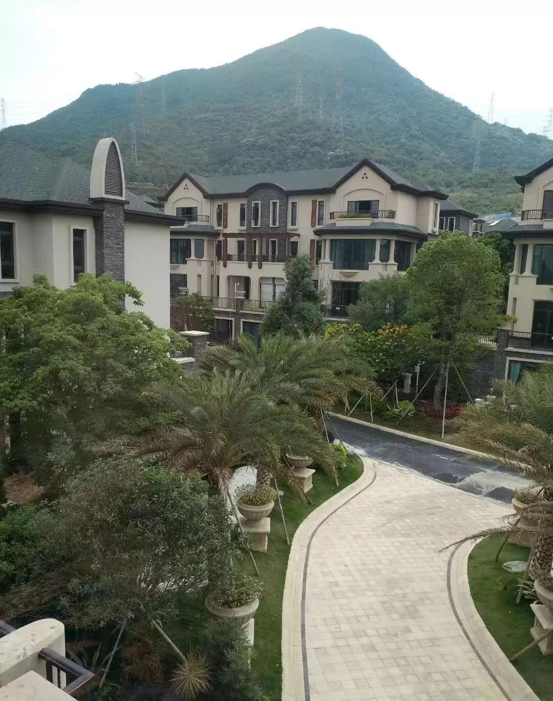 东京热最新地址,东京热最新地址,探索城市魅力的独特视角