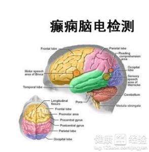 医疗器械 第216页
