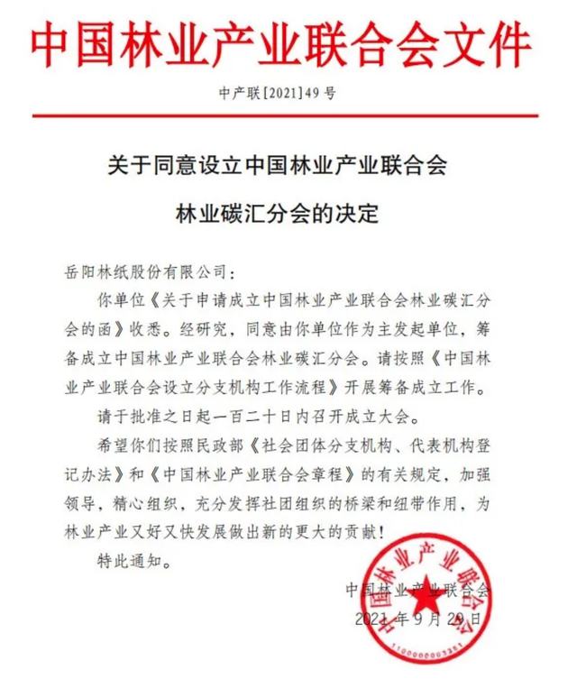 岳阳林纸最新消息,岳阳林纸最新消息,绿色发展的强劲脉搏与未来展望,岳阳林纸绿色发展新动向,强劲脉搏与未来展望