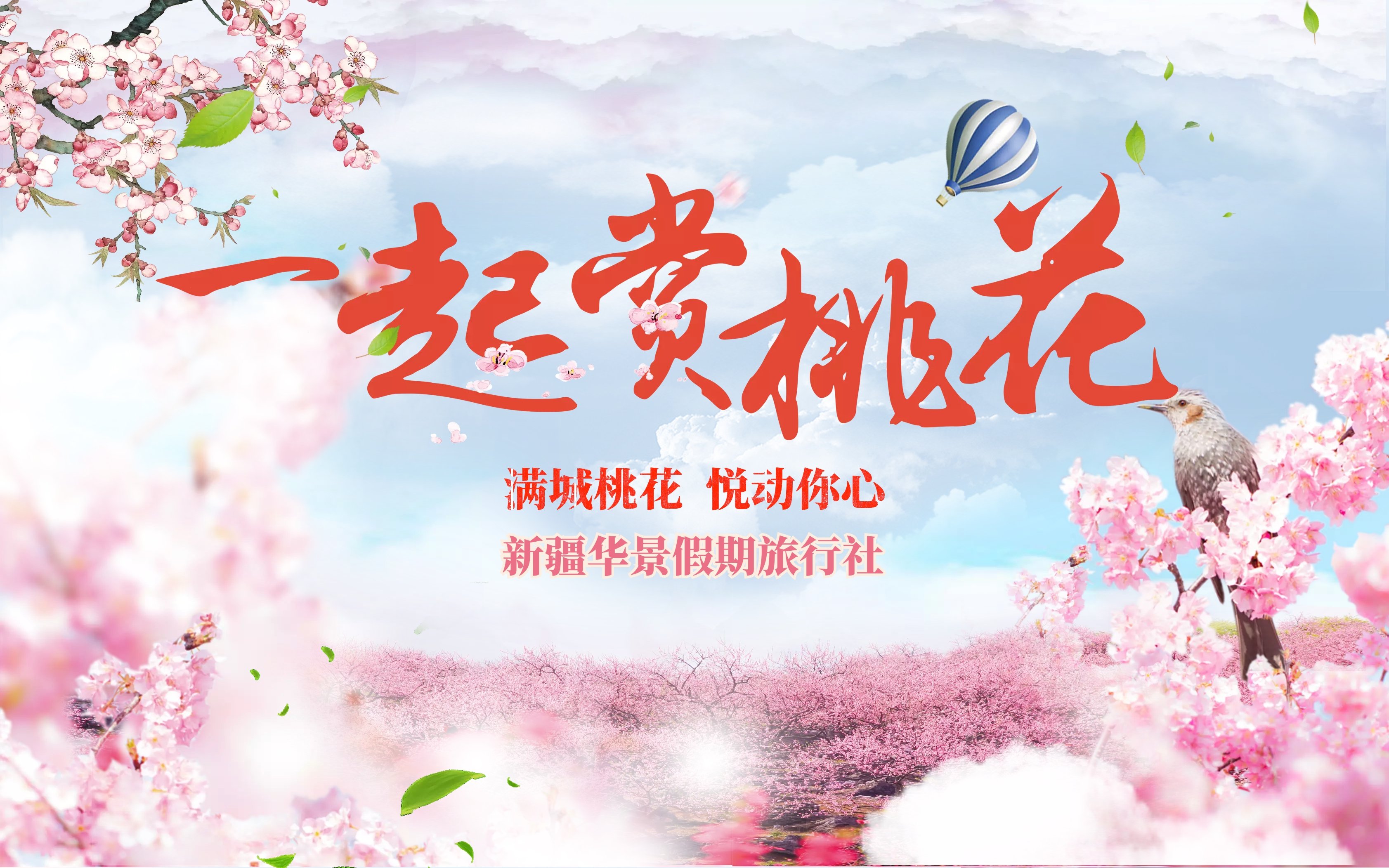 桃花族最新地址,桃花族最新地址,探寻一个充满浪漫与活力的社群新坐标,桃花族最新社群坐标,探寻浪漫与活力的新坐标