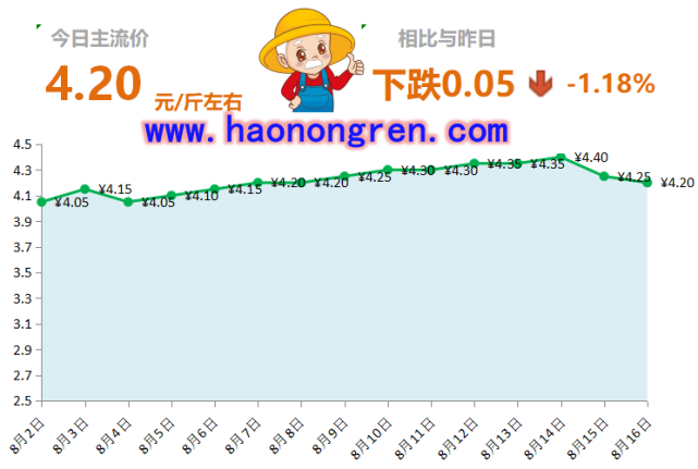 生姜网最新价格行情,生姜网最新价格行情,市场走势与种植前景分析,生姜网最新价格行情,市场走势、种植前景分析及其影响