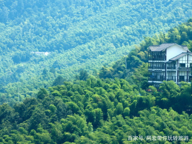 永川茶山竹海最新,永川茶山竹海新探,自然之韵,心灵之旅,永川茶山竹海新探,自然与心灵的交融之旅
