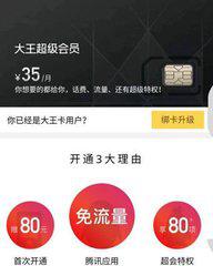 最新会员情况,最新会员情况深度解析,探索新成员的多元世界,最新会员深度解析,探索新成员的多元世界