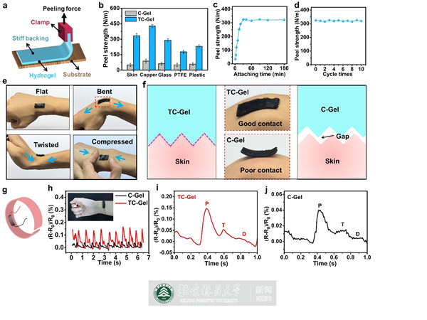 凝胶最新发展,凝胶最新发展,探索前沿科技,共创未来生活新篇章,探索凝胶最新发展前沿科技,共创未来生活新篇章