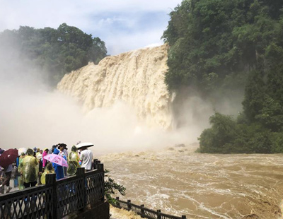 易舒洁免洗手消毒液 第228页