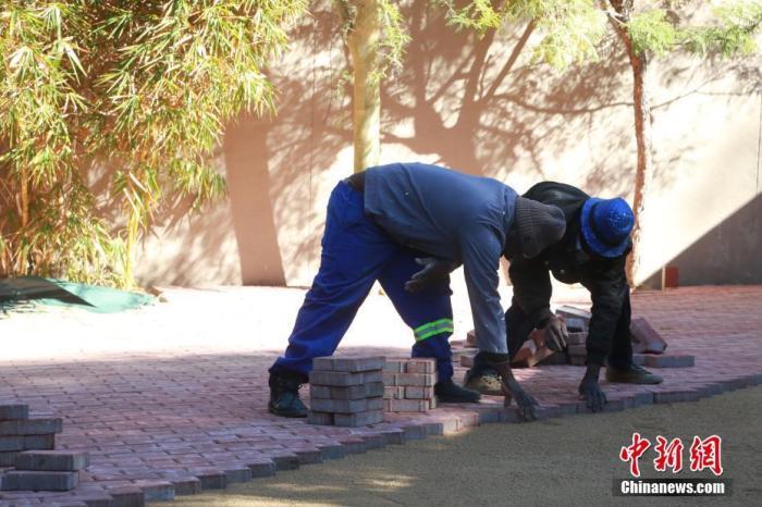 法国疫情死亡人数最新,法国疫情死亡人数的最新动态,一场关乎生命的较量与希望的重燃