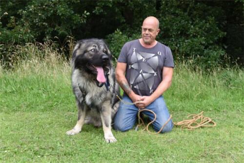 遛米最新版,遛米最新版,重新定义你的生活方式,遛米最新版,重塑你的生活方式