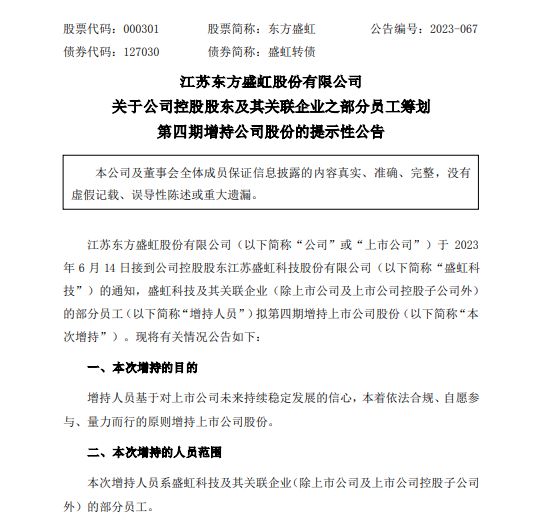 东方盛虹最新公告,东方盛虹最新公告引领未来,共创辉煌新篇章,东方盛虹最新公告引领未来,开启共创辉煌新篇章