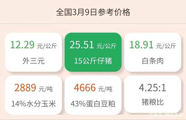 仔猪今日价格最新行情,仔猪今日价格最新行情,市场走势深度解析,深度解析,仔猪今日价格最新行情与市场走势