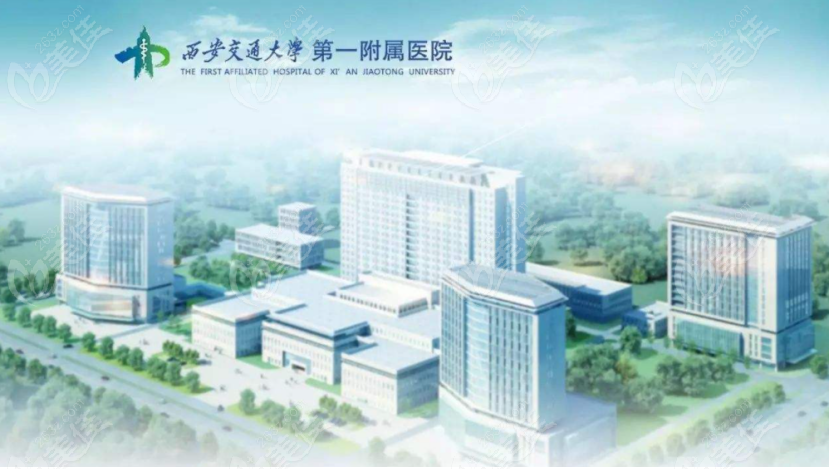 西京整形医院最新价格表,西京整形医院最新价格表,透明、公正,为您的美丽保驾护航,西京整形医院最新价格表公布,透明公正,专业护航您的美丽之路
