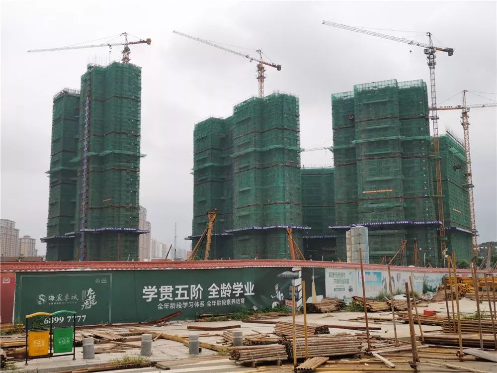 易舒洁免洗手消毒液 第203页