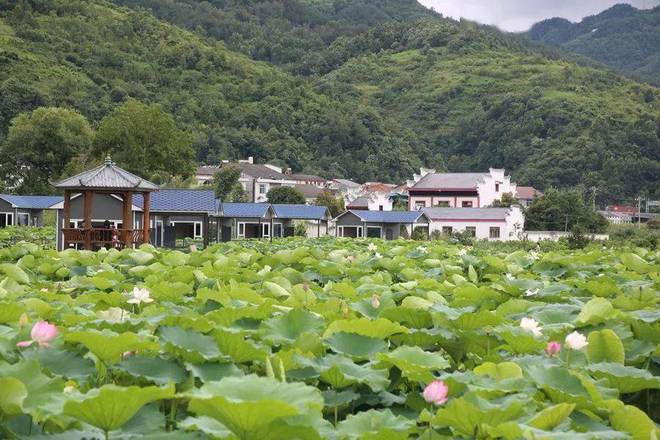 石泉池河最新动态,石泉池河最新动态,自然美景与文化发展的和谐共融,石泉池河最新动态,自然美景与文化和谐共融的发展盛景