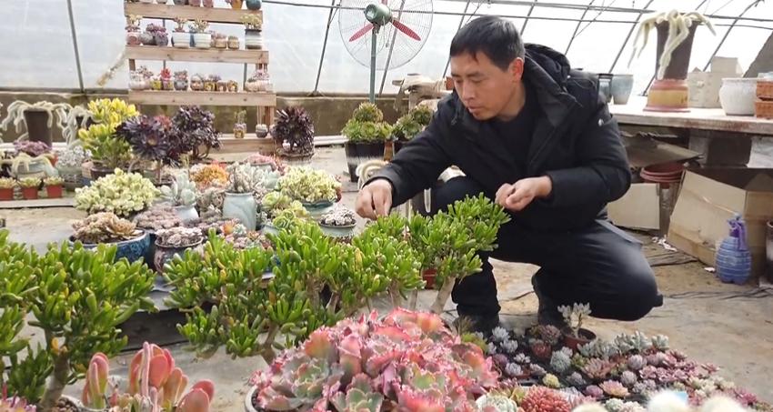 鹿泉兼职信息,鹿泉兼职信息,探索多元化兼职的新世界,鹿泉兼职信息探索,多元化兼职的新世界