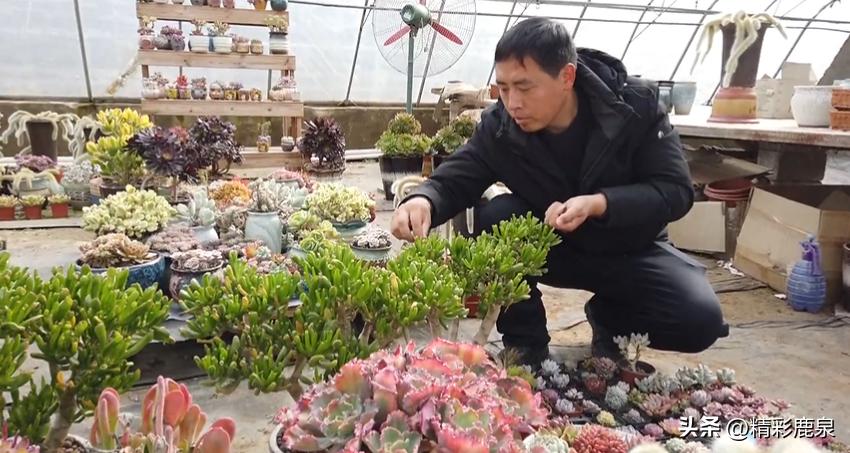 鹿泉兼职信息,鹿泉兼职信息,探索多元化兼职的新世界,鹿泉兼职信息探索,多元化兼职的新世界