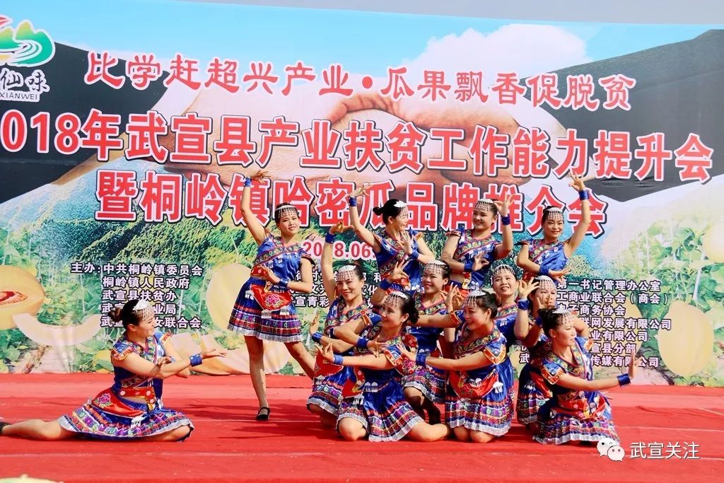 武宣新鲜资讯,武宣新鲜资讯,探寻活力之城的新动态与生活风情,武宣最新资讯,活力之城的新动态与生活风情探寻