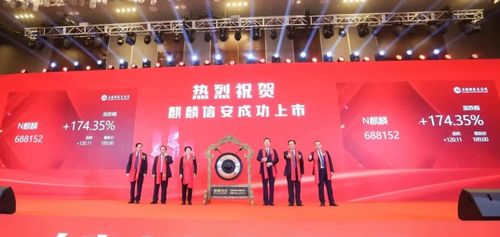 墨麟科技上市,墨麟科技上市,创新引领,铸就科技新篇章,墨麟科技上市,引领创新,开启科技新篇章