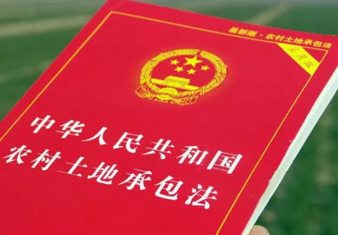 易舒洁免洗手消毒液 第186页