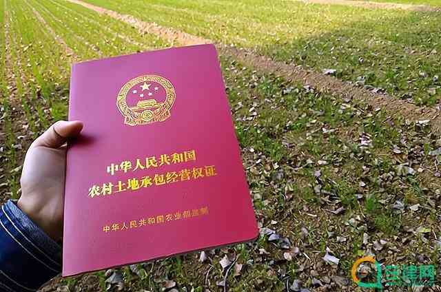 农村土地承包法最新修订版,农村土地承包法最新修订版的深度解读,农村土地承包法最新修订版深度解读与探讨