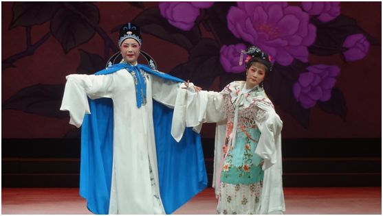 越剧演员单仰萍,越剧璀璨星耀——单仰萍,越剧璀璨之星,单仰萍的闪耀之路