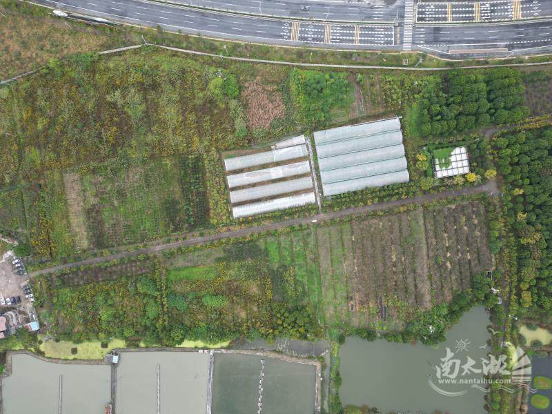 苏州最新农业用地租赁信息,苏州最新农业用地租赁信息,探索绿色发展的无限可能,苏州农业用地租赁信息揭秘,绿色发展潜力无限探索之路