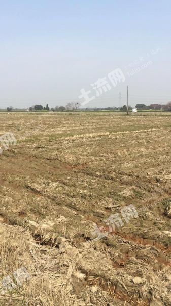 苏州最新农业用地租赁信息,苏州最新农业用地租赁信息,探索绿色发展的无限可能,苏州农业用地租赁信息揭秘,绿色发展潜力无限探索之路