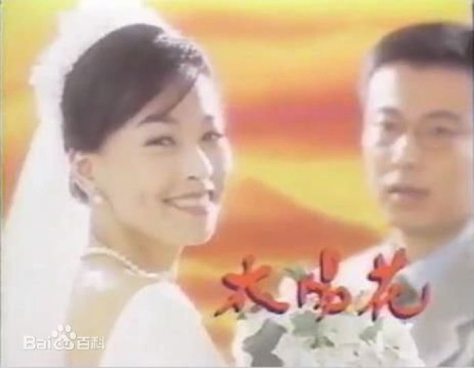 太阳花电视剧,太阳花电视剧,绽放的光影魅力与人生启示,太阳花电视剧,光影魅力与人生启示的绽放