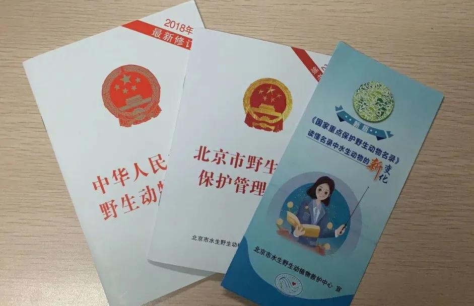 医疗器械 第119页