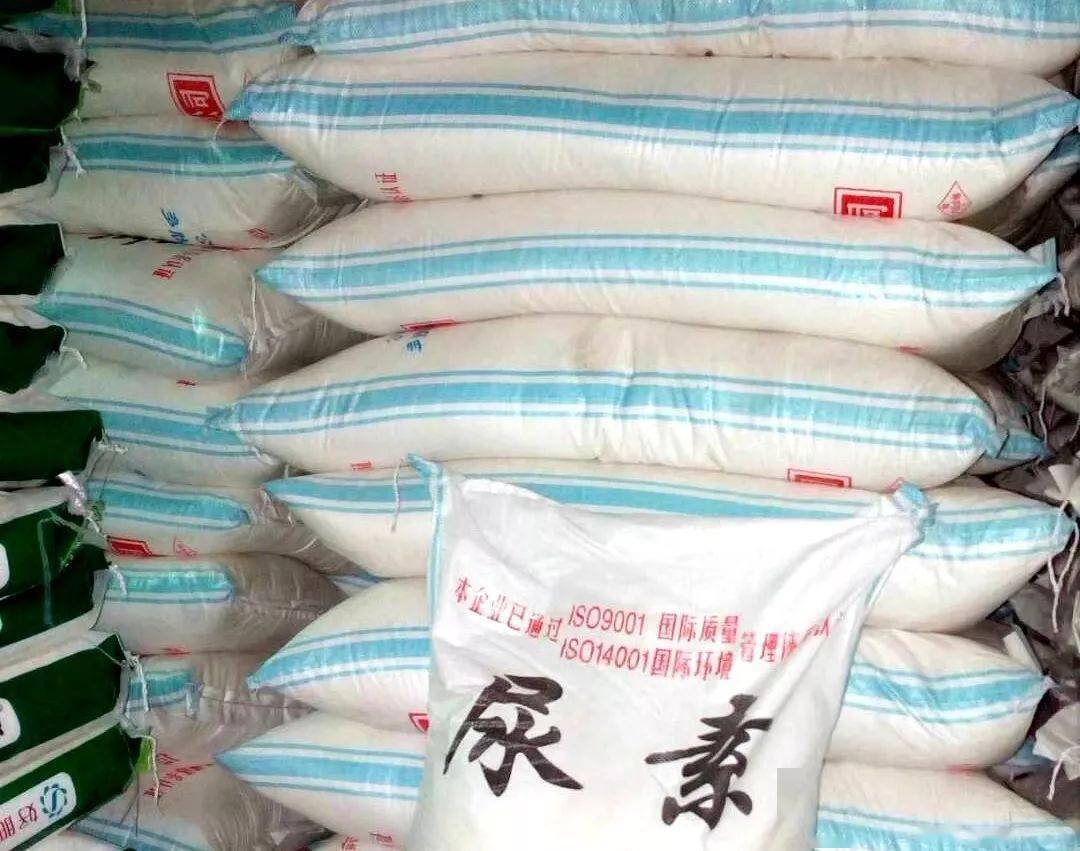 易舒洁免洗手消毒液 第156页
