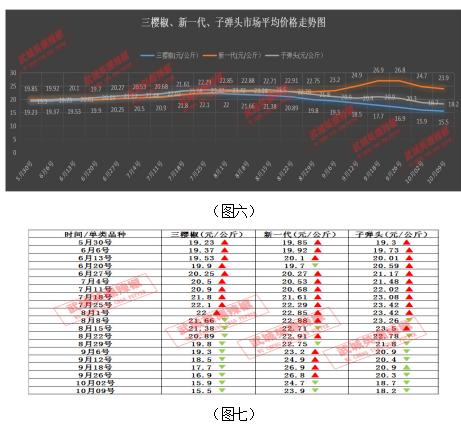 易舒洁免洗手消毒液 第155页