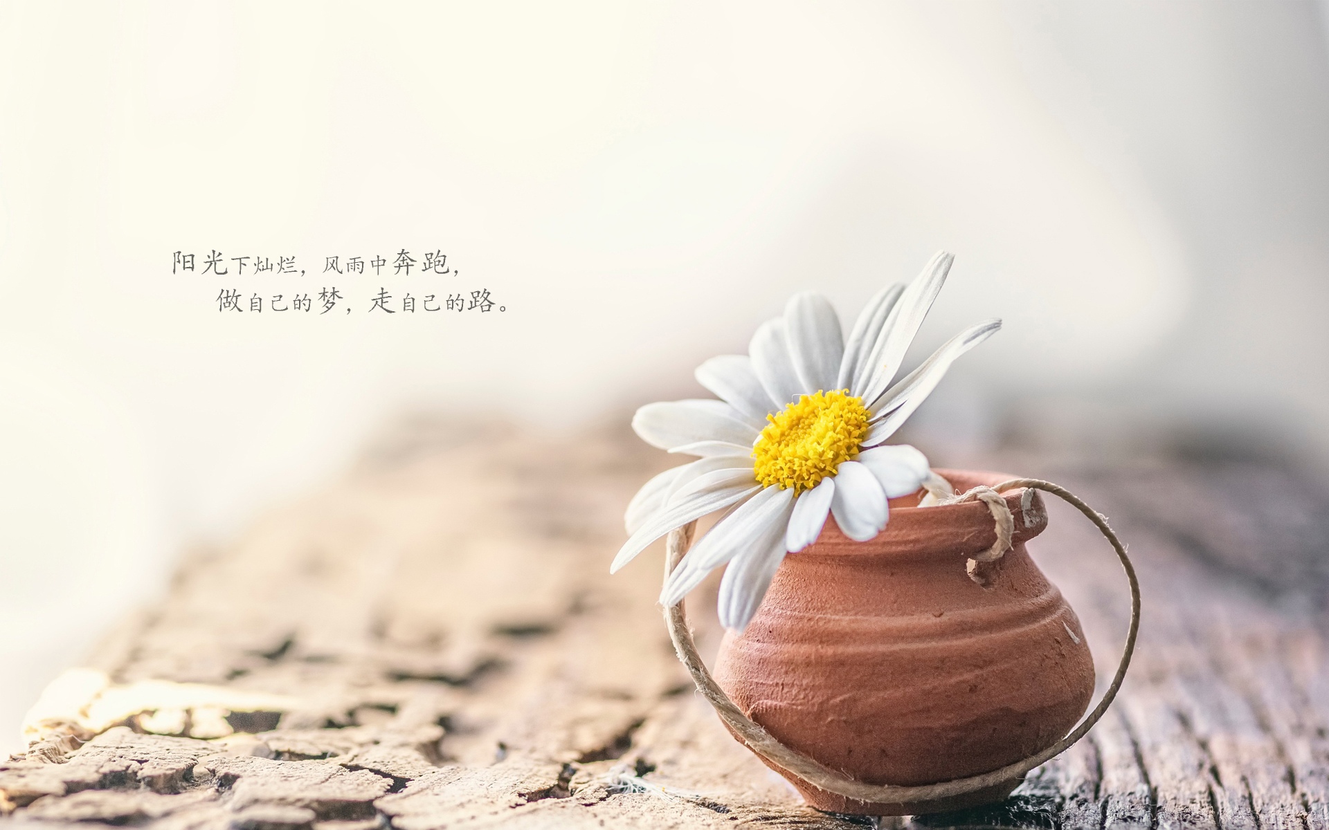 易舒洁免洗手消毒液 第154页