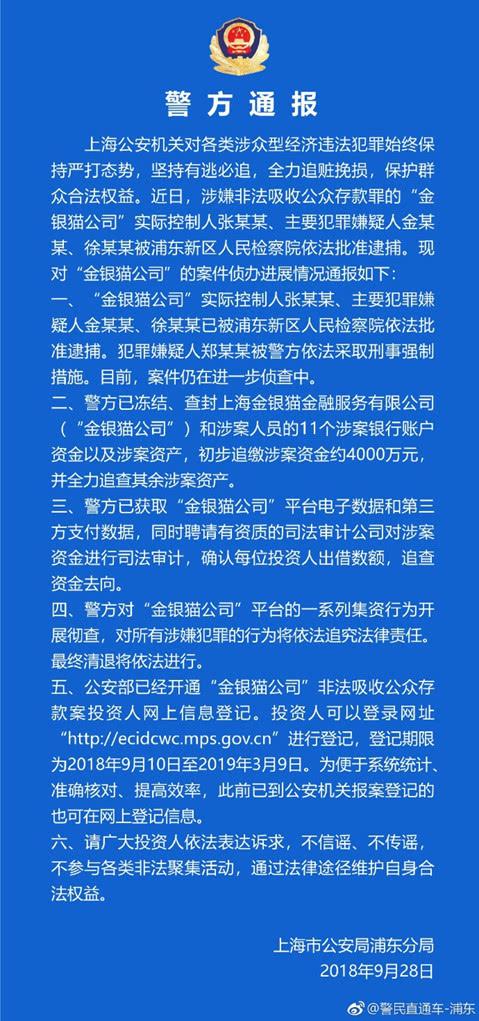 金银猫最新消息,金银猫最新消息，引领新时代的独特魅力与无限可能，金银猫引领新时代的独特魅力与最新发展动态