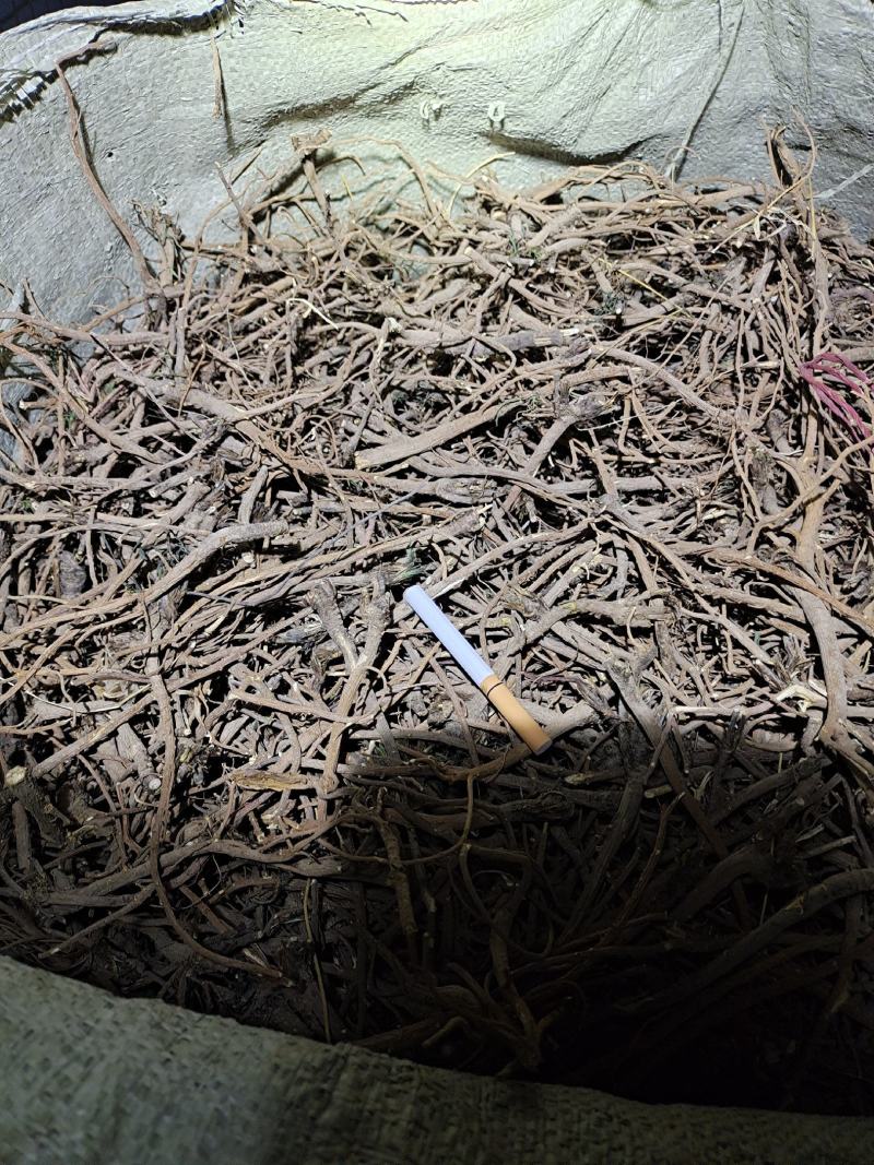 柴胡价格最新价格行情,柴胡最新价格行情深度解析，柴胡价格行情深度解析及最新价格动态