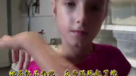花与蛇最新,花与蛇，一场自然与生命的最新篇章，花与蛇，自然与生命的最新交织篇章